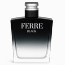 Gianfranco Ferre Ferre Black Eau de Toilette 100ml Spray